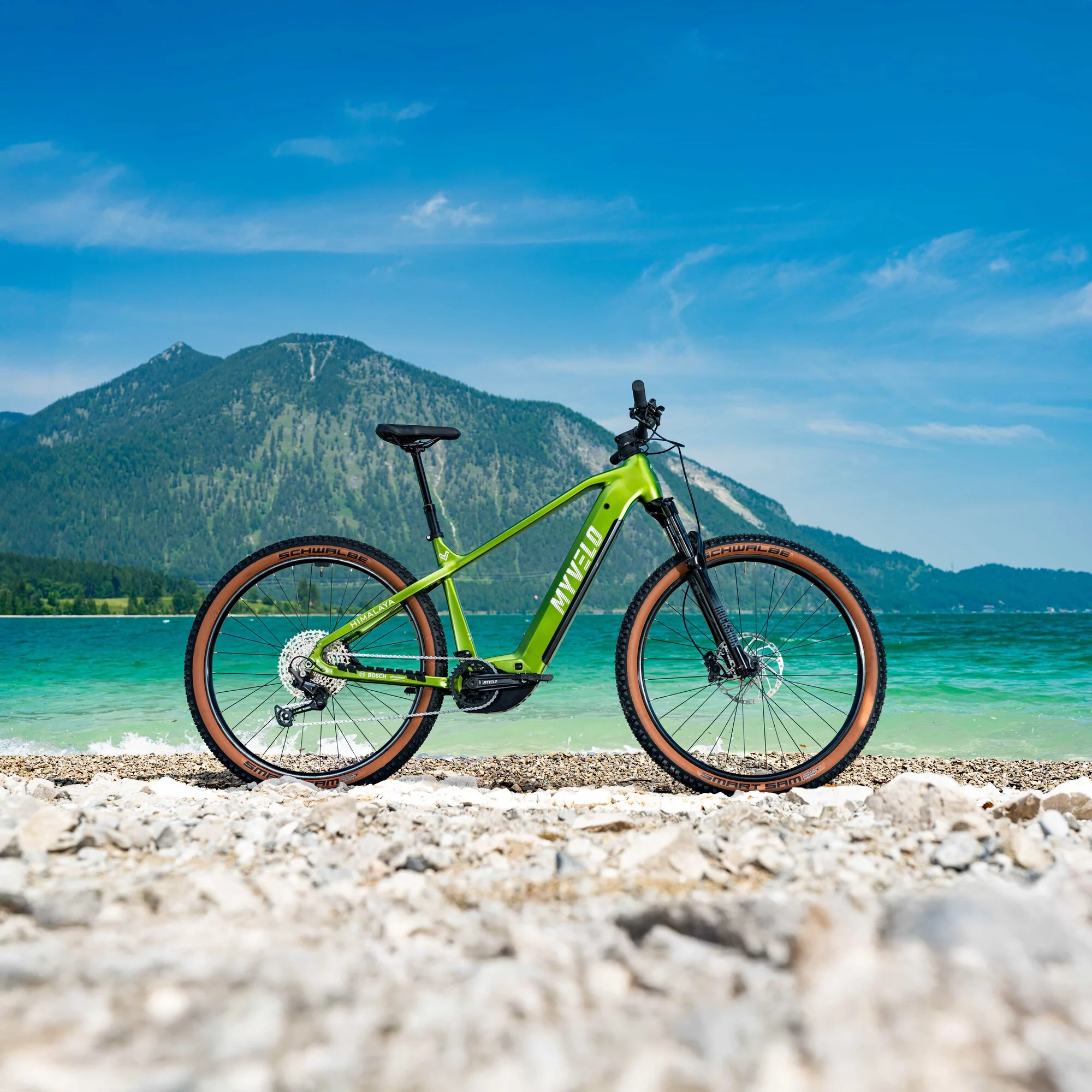 Himalaya E-MTB - Image 14