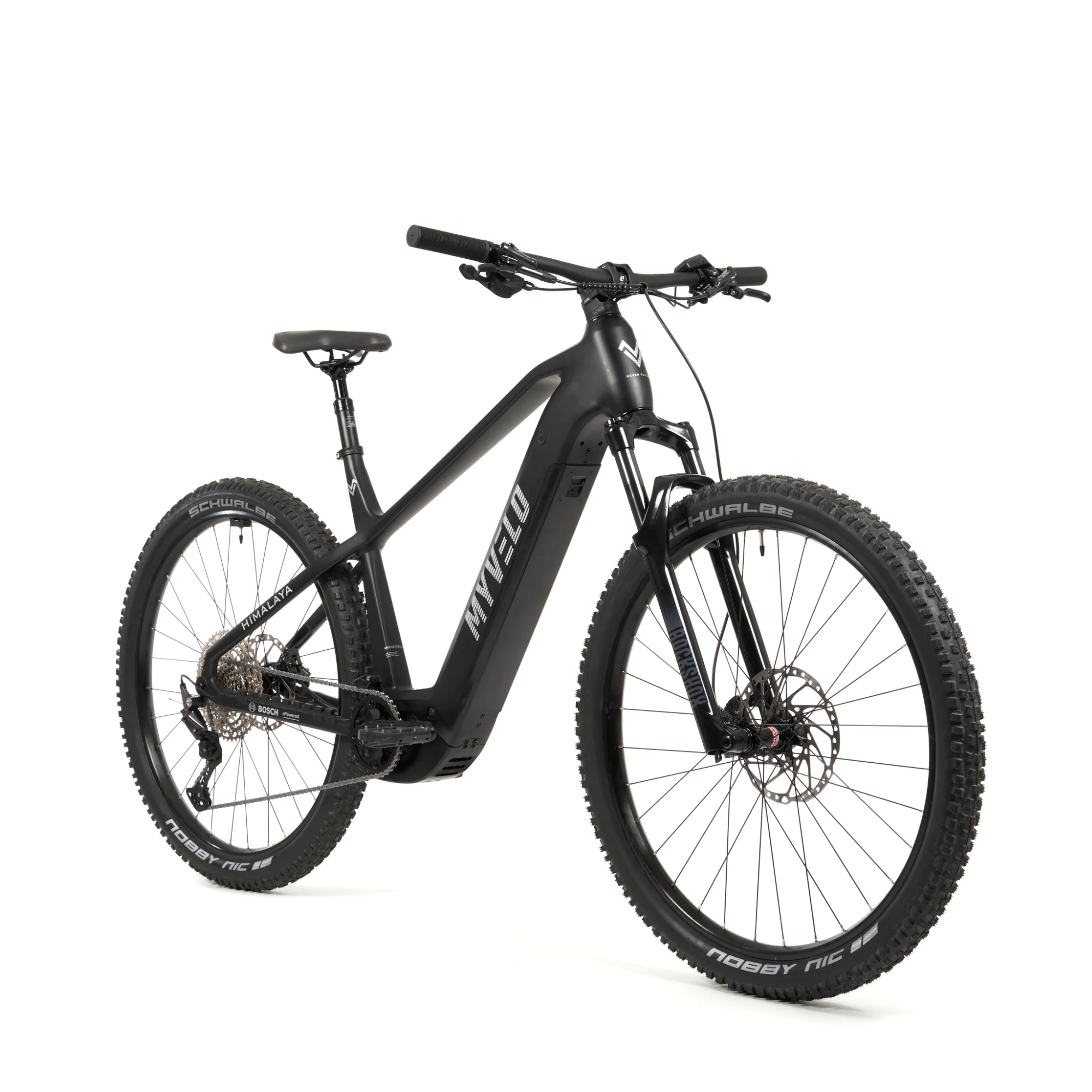 Himalaya E-MTB - Image 15