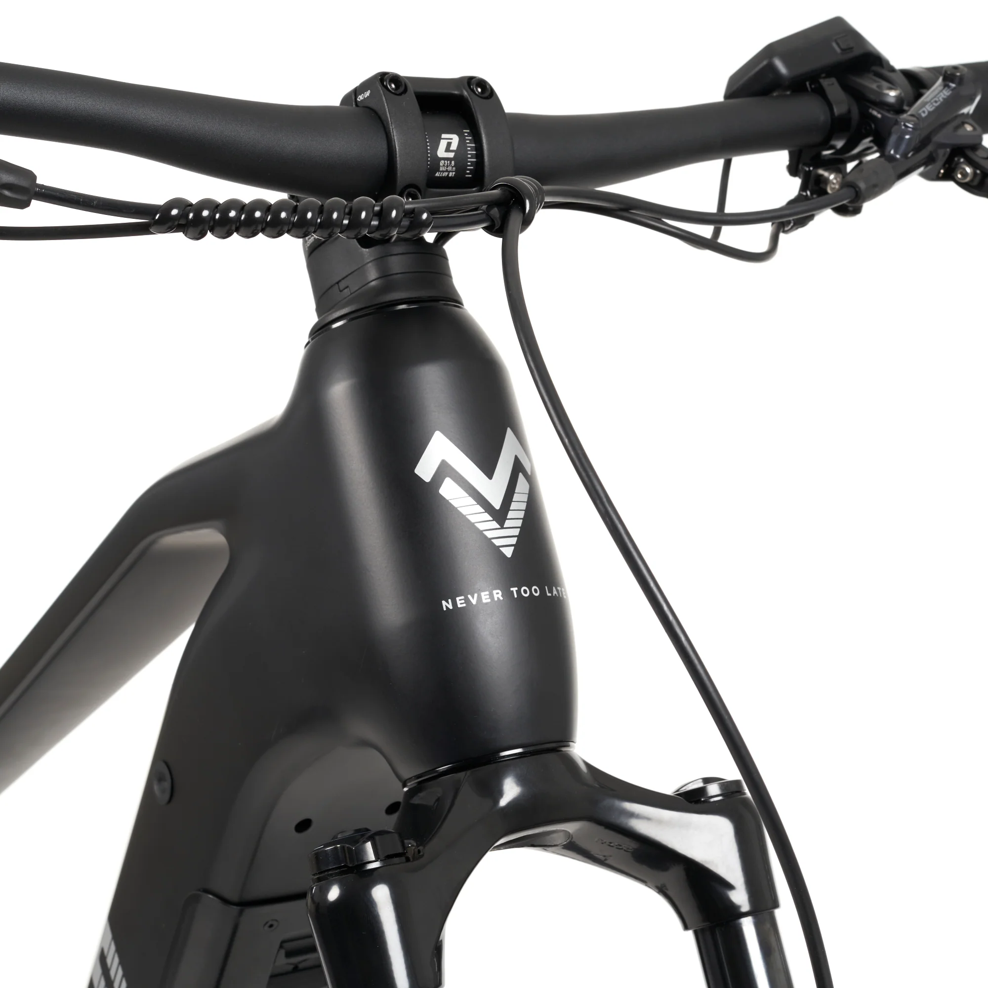 Himalaya E-MTB - Image 19