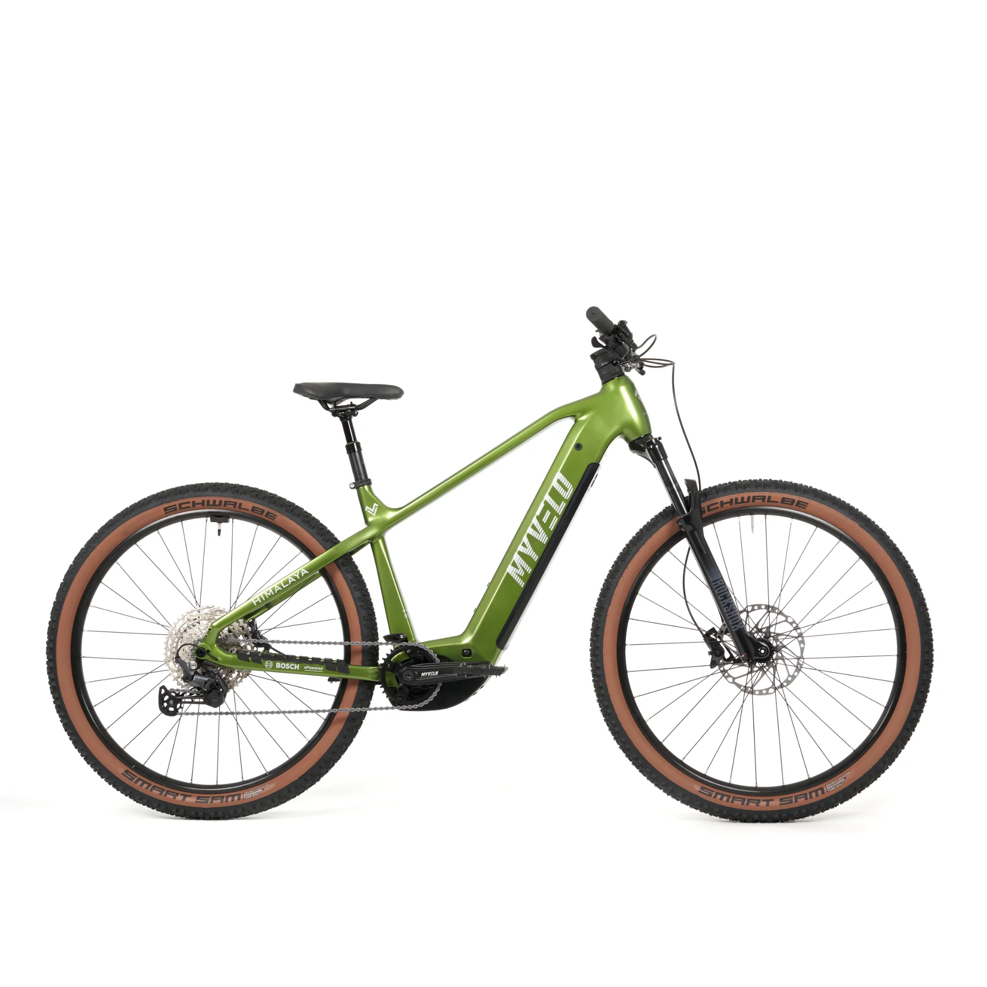 Himalaya E-MTB - Image 2