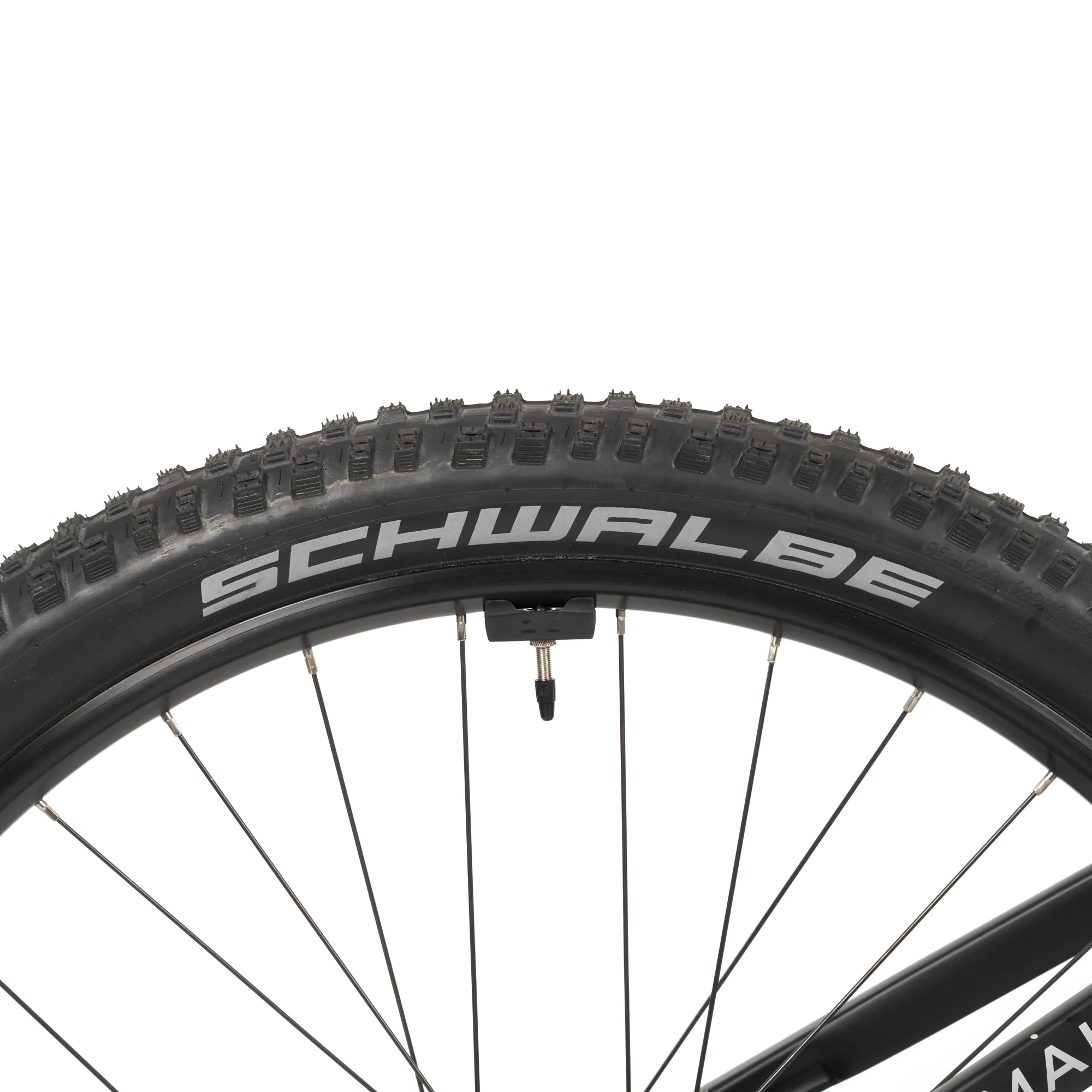 Himalaya E-MTB - Image 25
