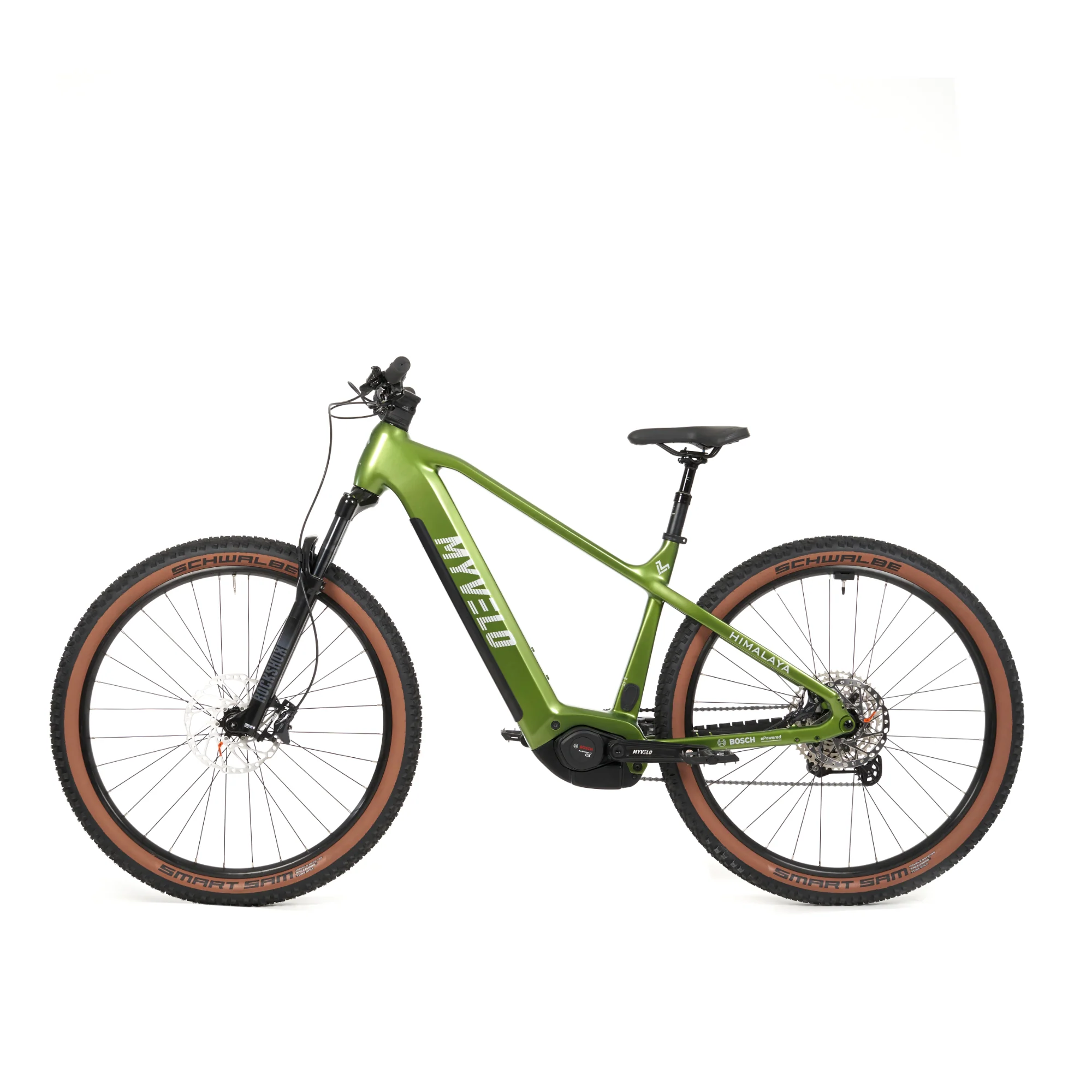 Himalaya E-MTB - Image 3